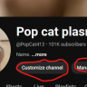 Popcatplasm<3